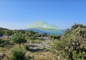 Dvorište